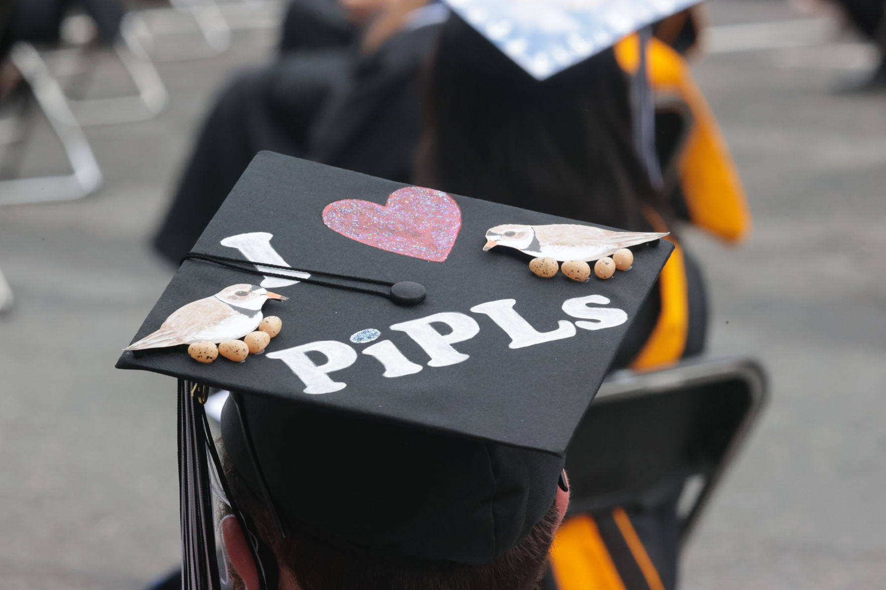Stockton University Commencement Ceremony 2020